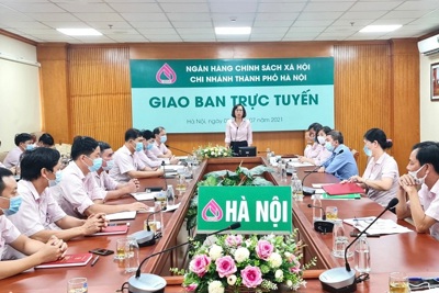 Chi nhánh Ngân hàng chính sách xã hội TP Hà Nội hoàn thành mục tiêu kép