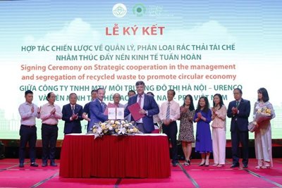 Liên minh Tái chế bao bì Việt Nam tham gia chương trình phân loại rác tái chế