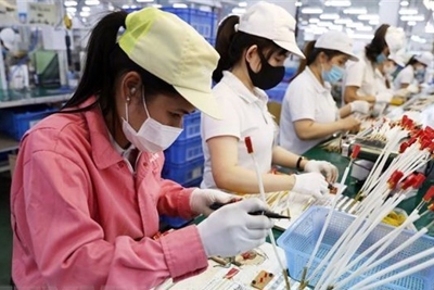 Báo Ấn Độ: Việt Nam đang có cơ hội trở thành cường quốc kinh tế khu vực