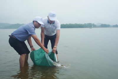 Kiểm soát chặt an toàn thực phẩm thủy sản