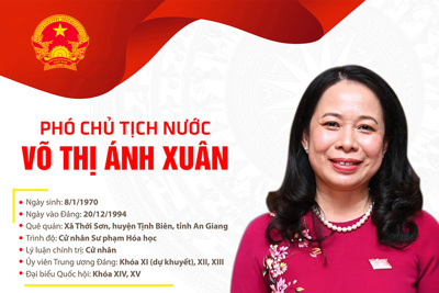 [Infographic] Tóm tắt quá trình công tác Phó Chủ tịch nước Võ Thị Ánh Xuân