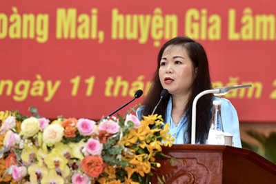 Chương trình hành động của Ủy viên Thường trực Ủy ban Tài chính - Ngân sách của Quốc hội Vũ Thị Lưu Mai, ứng cử viên đại biểu Quốc hội khóa XV