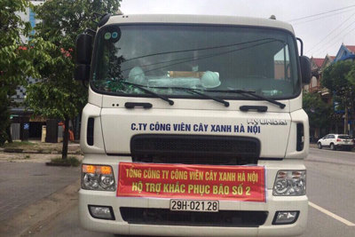 Hà Nội hỗ trợ TP Vinh khắc phục cây gãy đổ do bão số 2