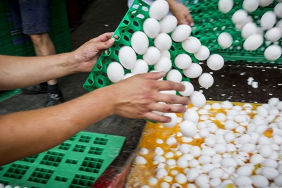 Châu Âu ghi nhận quốc gia thứ 16 dính bê bối trứng “bẩn”