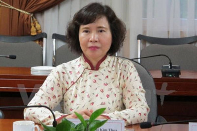 Bà Hồ Thị Kim Thoa bất ngờ nộp đơn xin thôi việc