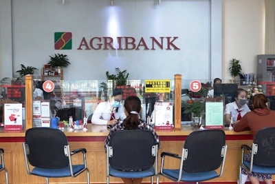 Agribank tiếp sức hộ sản xuất, doanh nghiệp vững tin vượt qua đại dịch