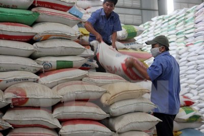 Xuất cấp gạo cứu đói cho Quảng Bình và Phú Yên