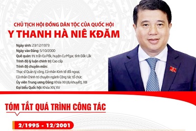 [Infographic] Chân dung tân Chủ tịch Hội đồng Dân tộc của Quốc hội Y Thanh Hà Niê Kđăm