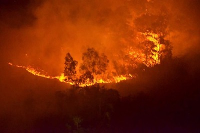 Tổng hợp thông tin vụ cháy rừng phòng hộ Sóc Sơn