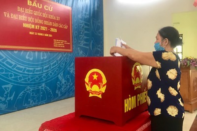 Gần 80% cử tri huyện Thanh Oai đã đi bỏ phiếu