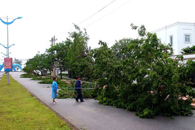 Nhiều tỉnh miền Trung thiệt hại lớn sau bão số 4