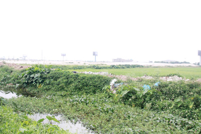 Dự án Điểm thông quan nội địa tại huyện Gia Lâm: Đất bỏ hoang, dân thiếu ruộng sản xuất