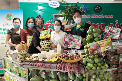 Hỗ trợ nông dân Hà Nội tiêu thụ nông sản