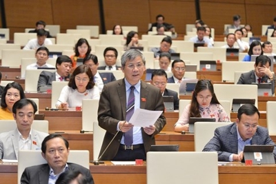 Giáo sư Nguyễn Anh Trí: Nỗ lực hết khả năng để xứng đáng với niềm tin của cử tri
