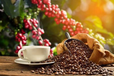 Giá cà phê hôm nay 25/6: Robusta bật tăng mạnh mẽ, trong nước đồng loạt vượt mốc 35.000 đồng/kg