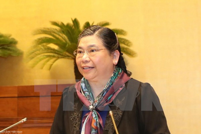 Phó Chủ tịch Thường trực Quốc hội Tòng Thị Phóng làm việc tại Hòa Bình
