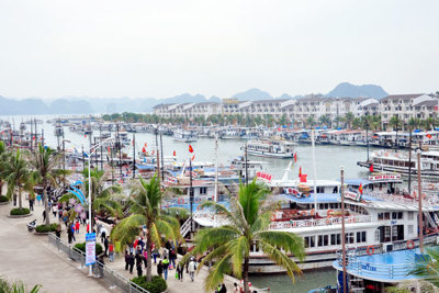 Quảng Ninh: Ngừng cấp phép tham quan đối với tàu du lịch từ 13h chiều 16/7