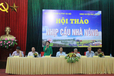 Huyện Phú Xuyên sản xuất nông nghiệp theo hướng an toàn, bền vững