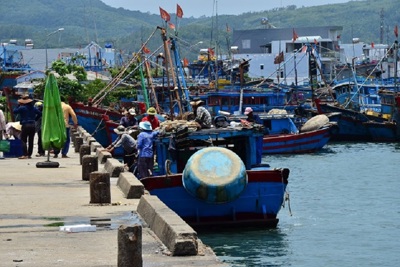 12 ngư dân của tàu cá Quảng Ngãi dương tính với SARS-CoV-2