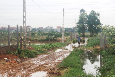 Xây dựng nông thôn mới xã Thanh Lâm, huyện Mê Linh: Thực tế khác xa báo cáo