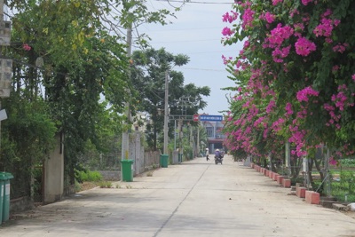 Những tuyến đường xanh, sạch, đẹp ở huyện Thường Tín