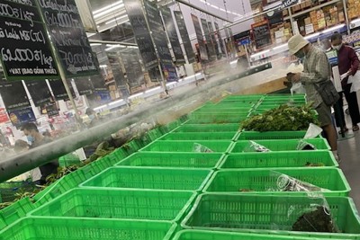 TP Hồ Chí Minh dự trữ 120 tấn hàng hóa, vì sao nhiều siêu thị vẫn hết sạch rau củ, thịt cá?