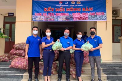 Huyện Thanh Oai hỗ trợ tiêu thụ hàng chục tấn nông sản cho nông dân
