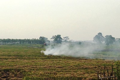 Nhiều nông dân huyện Mê Linh vẫn đốt rơm rạ giữa nắng nóng 40 độ C