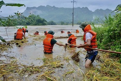 Phát động cuộc thi làm video ngắn trên Tiktok về phòng chống thiên tai