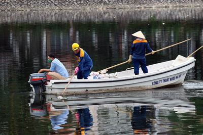 Cá chết tại hồ Hoàng Cầu do thời tiết thay đổi