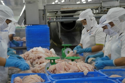 Mỹ miễn thuế chống bán phá giá cho 2 doanh nghiệp cá tra Việt Nam