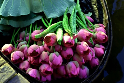 10 điểm đến lý tưởng thưởng lãm hoa sen tại Hà Nội
