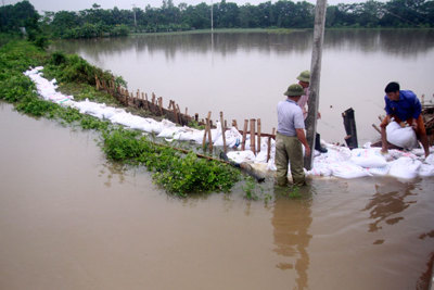 Kênh vỡ, hàng trăm nhân lực được huy động khắc phục