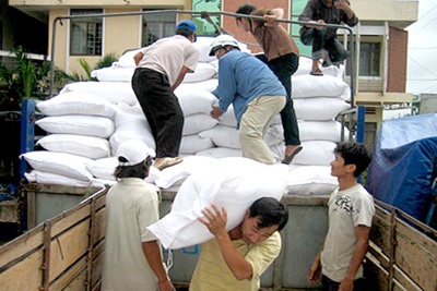 Chính phủ hỗ trợ cho người dân bị thiệt hại do bão số 10