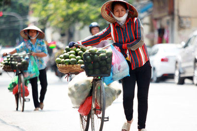 Chặn nguồn hoa quả bẩn