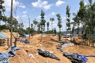 Quảng Nam: Nhức nhối tình trạng khai thác vàng lậu trên đất lâm nghiệp