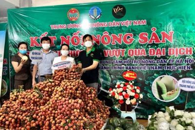 Hội Nông dân Hà Nội kết nối tiêu thụ nông sản mùa dịch