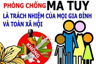 Phân công soạn thảo văn bản quy định chi tiết thi hành Luật Phòng, chống ma túy