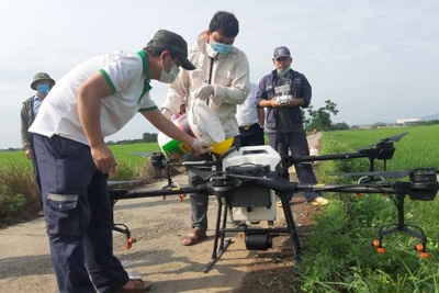 Huyện Thạch Thất: Tổ chức phun thuốc trừ sâu bằng máy bay không người lái
