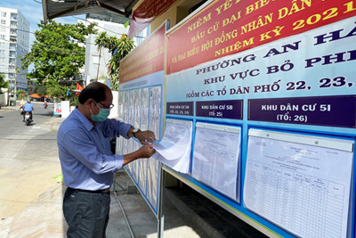 Ứng cử viên tại Đà Nẵng vận động bầu cử trực tuyến như thế nào?