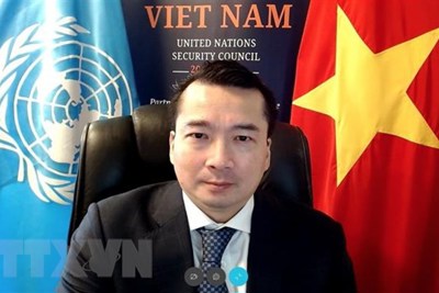 Việt Nam chủ trì cuộc họp trực tuyến của Hội đồng Bảo an về tình hình Libya