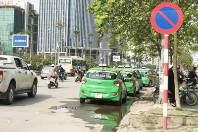Taxi Mai Linh được “đặc cách” dừng đỗ tại giao lộ?