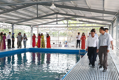 EVN tài trợ 600 triệu đồng xây dựng bể bơi cho học sinh Quảng Ngãi