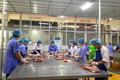 Hỗ trợ người chăn nuôi, doanh nghiệp tham gia cấp đông, tạm trữ thịt lợn