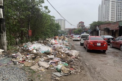 Đường xuống cấp, rác ngập phố Nguyễn Cảnh Dị