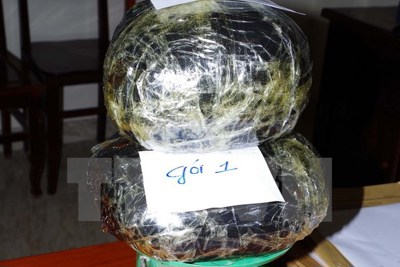 Bắt giữ 2 người nước ngoài mang 10kg thuốc phiện vào Việt Nam