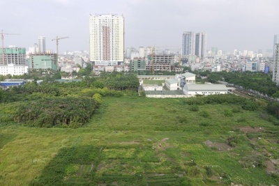 Hà Nội: Lập quy hoạch sử dụng đất thời kỳ 2021 - 2030, kế hoạch sử dụng đất năm 2022 cấp huyện