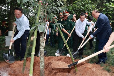 Chủ tịch nước Nguyễn Xuân Phúc dự lễ phát động trồng cây ở Di tích K9