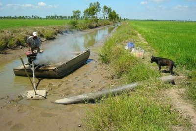 Thủ tướng chỉ đạo ứng phó xâm nhập mặn, thiếu nước tại Đồng bằng sông Cửu Long