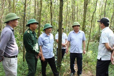 Quảng Bình: Đẩy nhanh tiến độ GPMB khu tái định cư cho người dân vùng sạt lở đất